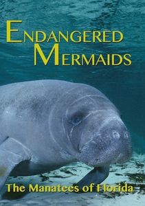 Endangered Mermaids: The Manat