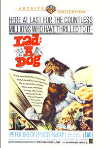 Lad a Dog , Peter Breck