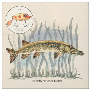 Lay It On Me , Nick Lowe