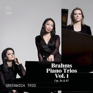 Piano Trios Vol. 1 Op. 36 & 87