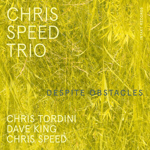 Despite Obstacles , Chris Speed Trio