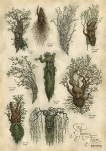 WETA Workshop - The Lord of the Rings Trilogy - Ents of Fangorn Forest Art Print 