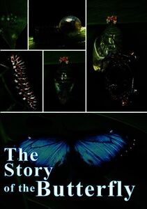 The Story of the Butterfly