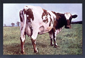 Pink Floyd - Atom Heart Mother - 11x17 Framed Print With Gel-Coat 