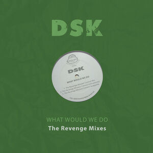 What Would We Do - The Revenge Mixes , DSK