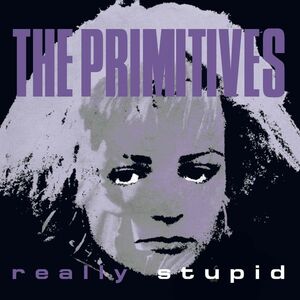Really Stupid , The Primitives