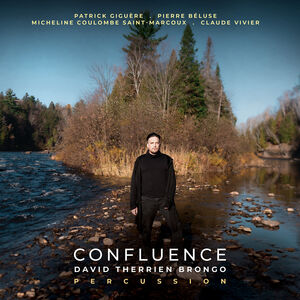 Confluence , David Therrien Brongo