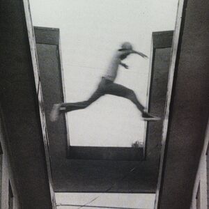 The Ecstatic , Mos Def