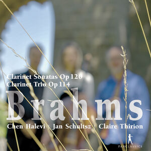 Clarinet Sonatas, Op. 120 , Chen Halevi