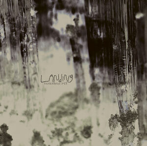Motionless I-vi , Landing