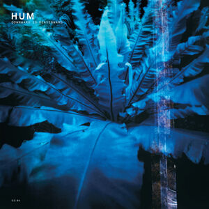 Downward Is Heavenward , Hum