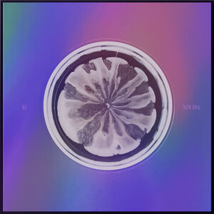 New DNA (X Version) - incl. 78pg Photobook, Lyrics Paper, Tattoo Sticker + Trading Card [Import] , XG