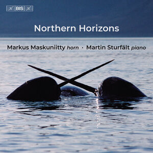 Northern Horizons , Markus Maskuniitty