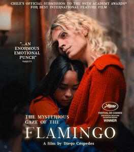 The Mysterious Gaze of the Flamingo , Pedro Muñoz
