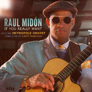 If You Really Want , Raul Midón