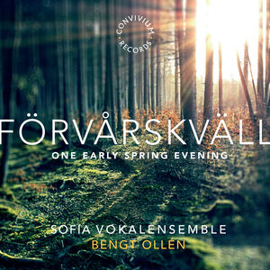 Forvarskvall , Various Artists