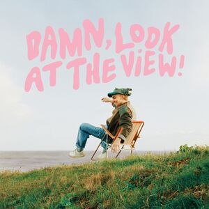 Damn, Look at the View !