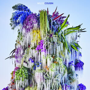 Cousin , Wilco