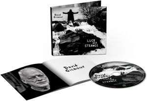 Luck And Strange , David Gilmour