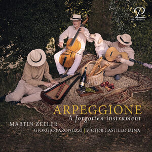 Arpeggione , Martin Zeller