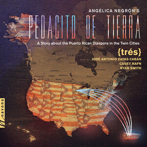 Pedacito de Tierra , Jose Antonio Zayas Caban