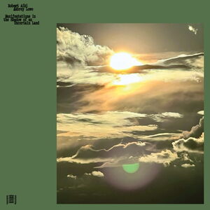 Manifestations in the Shadow of an Uncertain Land , Robert Aiki Aubrey Lowe