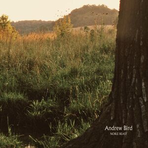 Noble Beast , Andrew Bird