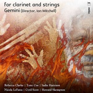 For Clarinet & Strings