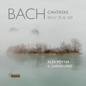 Bach Cantatas Bwv 35 & 169 , Alex Potter