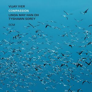 Compassion , Vijay Iyer
