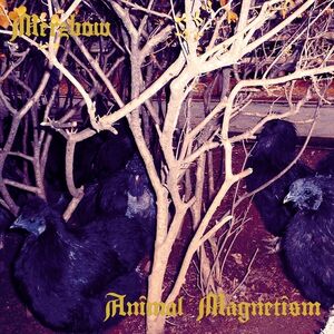 Animal Magnetism , Merzbow