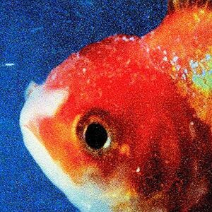 Big Fish Theory [Import]