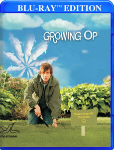 Growing Op , Steven Yaffee