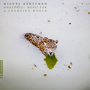 Amazonia - Music for a Changing World , Miguel Kertsman