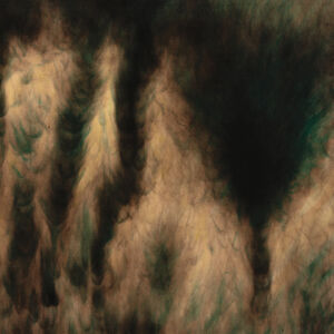 Lamentations , William Basinski