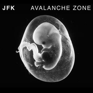 Avalanche Zone , JFK