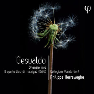 Gesualdo: Silenzio mio - Il quarto libro di madrigali , Benedict Hymas