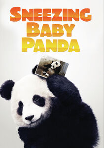 Sneezing Baby Panda