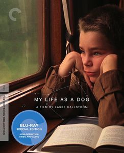 My Life as a Dog (Criterion Collection)