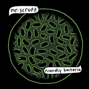 Friendly Bacteria , Mr. Scruff