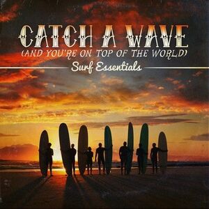 Catch a Wave /  Various