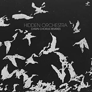 Dawn Chorus , Hidden Orchestra