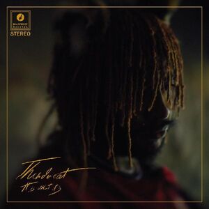 It Is What It Is , Thundercat