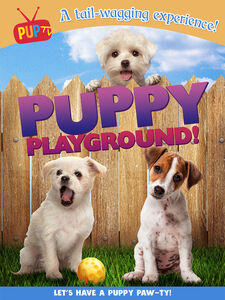 Puppy Playground