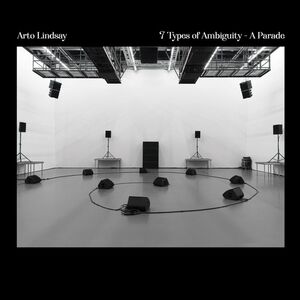 7 Types Of Ambiguity - A Parade , Arto Lindsay