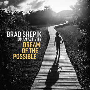 Human Activity: Dream of the Possible , Brad Shepik