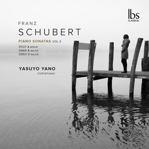 Schubert: Piano Sonatas, Vol. 3