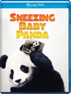 Sneezing Baby Panda