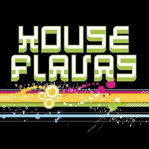 House Flavas /  Various