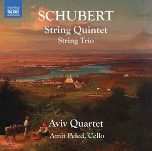String Quintet 956